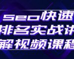 seo快速排名实战讲解视频课程，揭秘seo快排原理-升阶有道