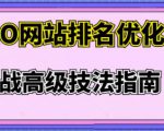 樊天华·SEO网站排名优化实战高级技法指南,让客户找到你-升阶有道