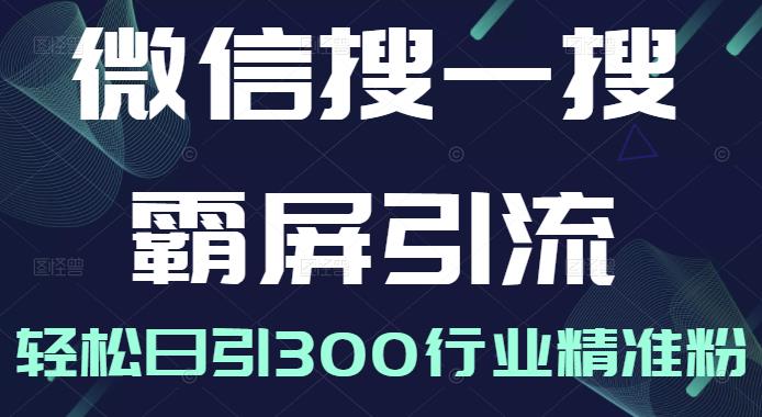 微信搜一搜霸屏引流课，打造被动精准引流系统，轻松日引300行业精准粉-升阶有道