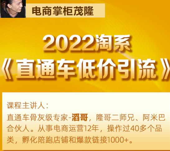 茂隆2022直通车低价引流玩法，教大家如何低投入高回报的直通车玩法-升阶有道