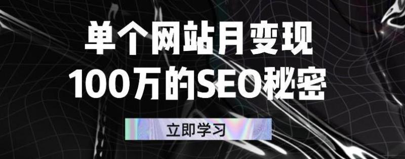 单个网站月变现100万的SEO秘密，百分百做出赚钱站点-升阶有道