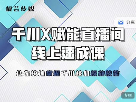 枫芸传媒-线上千川提升课，提升千川认知，提升千川投放效果-升阶有道