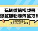 玩转微信视频号爆款涨粉赚钱全攻略，快速涨粉百万变现万元秘诀-升阶有道