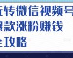 玩转微信视频号爆款涨粉赚钱全攻略,让你快速抓住流量风口,收获红利财富-升阶有道