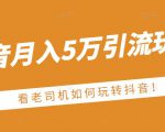 老古董·抖音月入5万引流玩法，看看老司机如何玩转抖音(附赠：抖音另类引流思路)-升阶有道