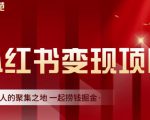 渣圈学苑·小红书虚拟资源变现项目，一起捞钱掘金价值1099元-升阶有道