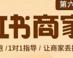 贾真-小红书商家营第6期商家版，21天带货陪跑课，让商家丢掉付流量-升阶有道