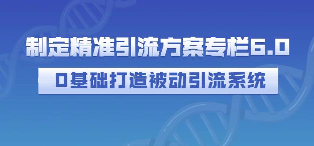 制定精准引流方案专栏6.0，0基础打造被动引流系统-升阶有道