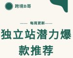 【跨境B哥】独立站潜力爆款选品推荐，测款出单率高达百分之80-升阶有道