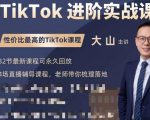 大山老师TikTok进阶实战课:账号详解,流量运营,实战变现,助力你成功出海-升阶有道