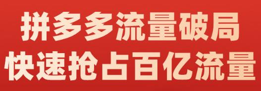 阿杰·拼多多流量破局:如何打黑标，爆款的思路，拼多多流量框架，快速抢占百亿流量-升阶有道
