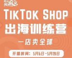 疯人院:TikTok Shop出海训练营（一店卖全球)，出海抢占全球新流量-升阶有道