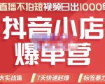 推易电商·2022年抖音小店爆单营，不直播、不拍短视频、日出1000单，暴力玩法-升阶有道