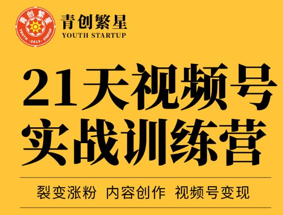 张萌21天视频号实战训练营，裂变涨粉、内容创作、视频号变现 价值298元-升阶有道
