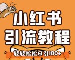小红书运营引流全系列课程，每天引流100精准粉-升阶有道