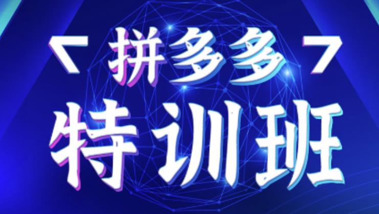 星雪教育·拼多多基础班+进阶班+突破班，用系统的学习模式快速改变现状价值3580元-升阶有道
