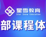 星雪教育淘系高级班，更全的运营提升方案，零基础由浅入深，店铺最新玩法-升阶有道