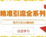 闲鱼精准引流全系列课程，每天引流100精准粉【视频课程】-升阶有道