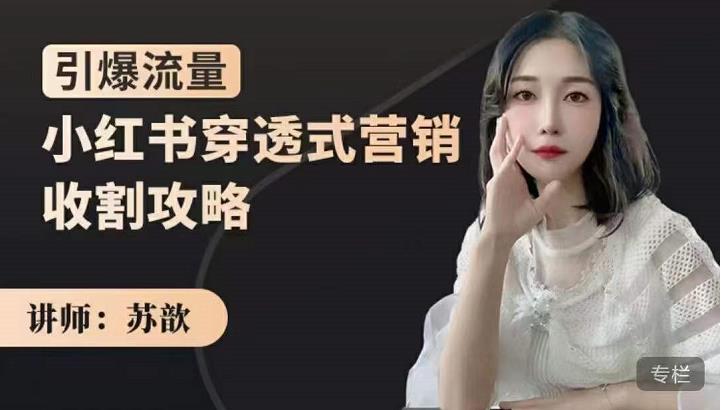 苏歆：小红书穿透式营销收割攻略，引爆流量，助你玩转小红书-升阶有道