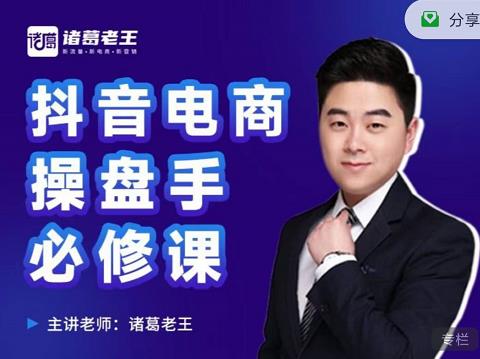 诸葛老王-抖音电商操盘手必修课：顶层设计，​起号破局，爆款运营，数据分析-升阶有道