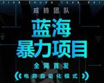 引流哥蓝海暴力躺赚项目：无需发圈无需引流无需售后，每单赚50-500（教程+线报群)-升阶有道