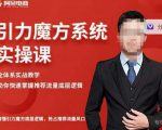 阿呆-引力魔方系统实操课,全体系实战教学,助你快速掌握推荐流量底层逻辑-升阶有道