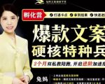 兔妈·爆款文案硬核特种兵孵化营,实现了每个月2000-30000+的副业增收-升阶有道