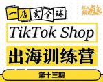 TikTokShop出海训练营(第十三期),打开全球流量新思维,出海抢占全球新流量,一店卖全球-升阶有道