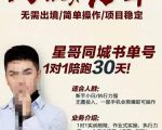 星哥同城教育书单号课程,无需出境简单操作项目稳定-升阶有道