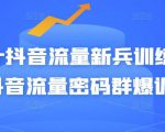 Peter抖音流量新兵训练营-破解抖音流量密码群爆训练营（新兵）-升阶有道