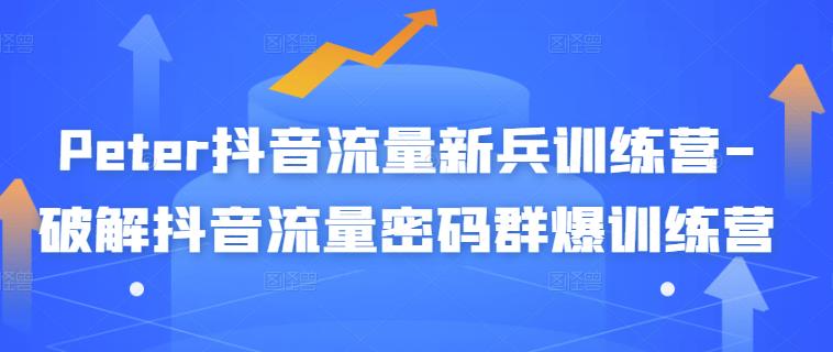 Peter抖音流量新兵训练营-破解抖音流量密码群爆训练营（新兵）-升阶有道