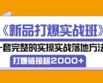 凌童《新品打爆实战班》,一套完整的实操实战落地方法,打爆链接超2000+(28节课)-升阶有道
