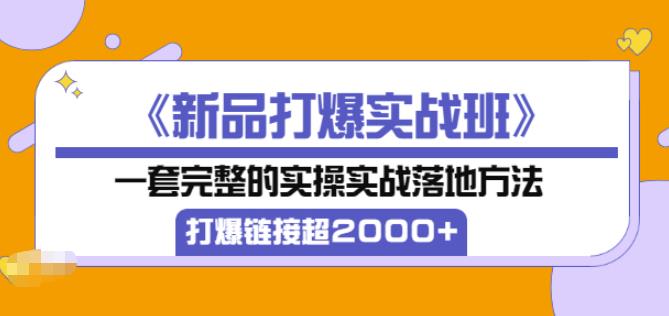 凌童《新品打爆实战班》,一套完整的实操实战落地方法，打爆链接超2000+（28节课)-升阶有道
