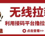 最新接码无限拉新项目，利用接码平台赚拉新平台差价，轻松日赚500+-升阶有道