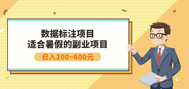 副业赚钱：人工智能数据标注项目，简单易上手，小白也能日入200+-升阶有道