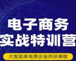 民赛电气内部出品:电子商务实战特训营,全方位带你入门电商,308种方式玩转电商-升阶有道