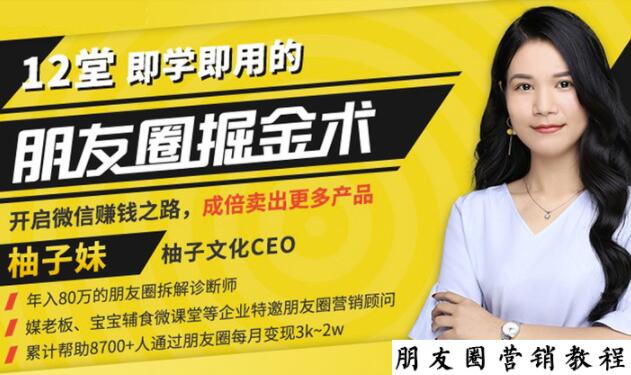 【营销必学】12堂学之即用的朋友圈掘金术：开启你的副业赚钱之路-升阶有道