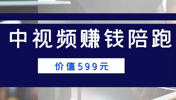 中视频赚钱陪跑，卖中视频账户赚钱收益陪跑项目（价值599元）-升阶有道