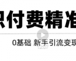 玩转知识付费项目精准引流，给你1套课多账号操作落地方案！-升阶有道
