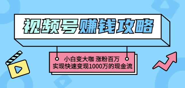玩转微信视频号赚钱：小白变大咖涨粉百万实现快速变现1000万的现金流-升阶有道