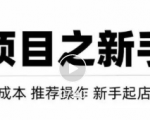 虚拟项目快速起店模式,0成本打造月入几万虚拟店铺!-升阶有道
