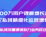 8000万用户规模增长方法论私域精细化运营增长,私域流量硬课助力业务跃迁-升阶有道