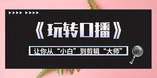 月营业额700万+大佬教您《玩转口播》让你从“小白”到剪辑“大师”-升阶有道