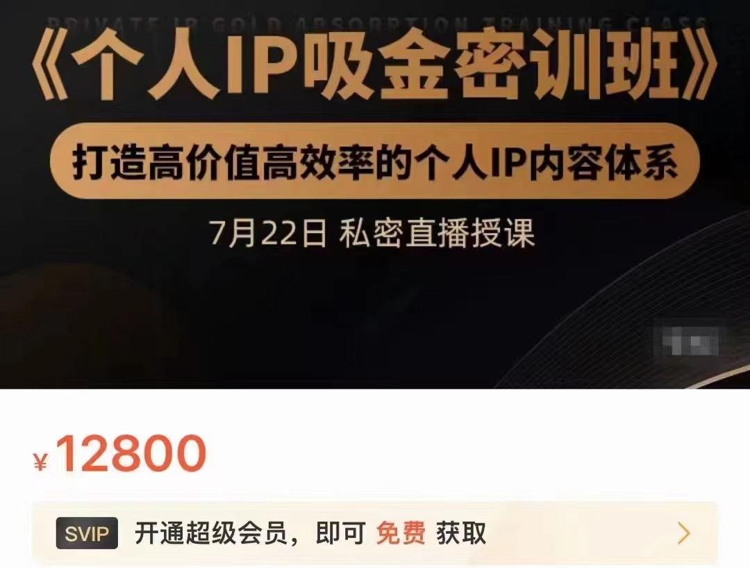 个人IP吸金密训班，打造高价值高效率的个人IP内容体系（价值12800元）-升阶有道