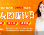 全网千万人气导师亲授：零基础/易上手的朋友圈赚钱攻略，让你轻松月入过万-升阶有道