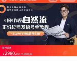 0粉0作品自然流正价起号及稳号全教程,专业自然流起号机构流程化教学(价值2980元)-升阶有道