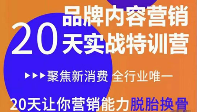 《内容营销实操特训营》20天让你营销能力脱胎换骨（价值3999）-升阶有道