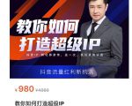 教你如何打造超级IP,抖音流量红利新机遇(价值980元)-升阶有道