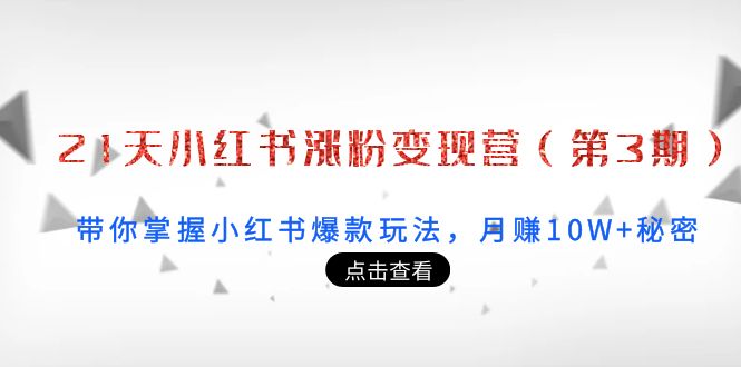 21天小红书涨粉变现营（第3期）：带你掌握小红书爆款玩法，月赚10W+秘密-升阶有道