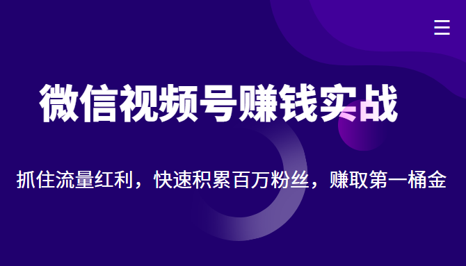 微信视频号赚钱实战：抓住流量红利，快速积累百万粉丝，赚取你的第一桶金-升阶有道